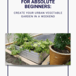 Promo graphic for article on urban gardening- vertical