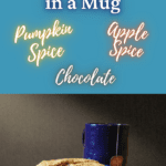 microwave muffins three ways - pumpkin spice, chocolate, apple spice