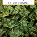 Make crispy and cheesy kale chips in oven or dehydrator at home using nutritional yeast. Full instructions and tips.