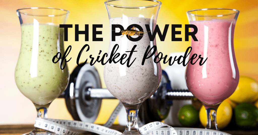Crickets are an alternative source of protein and among foods that are good for gut health