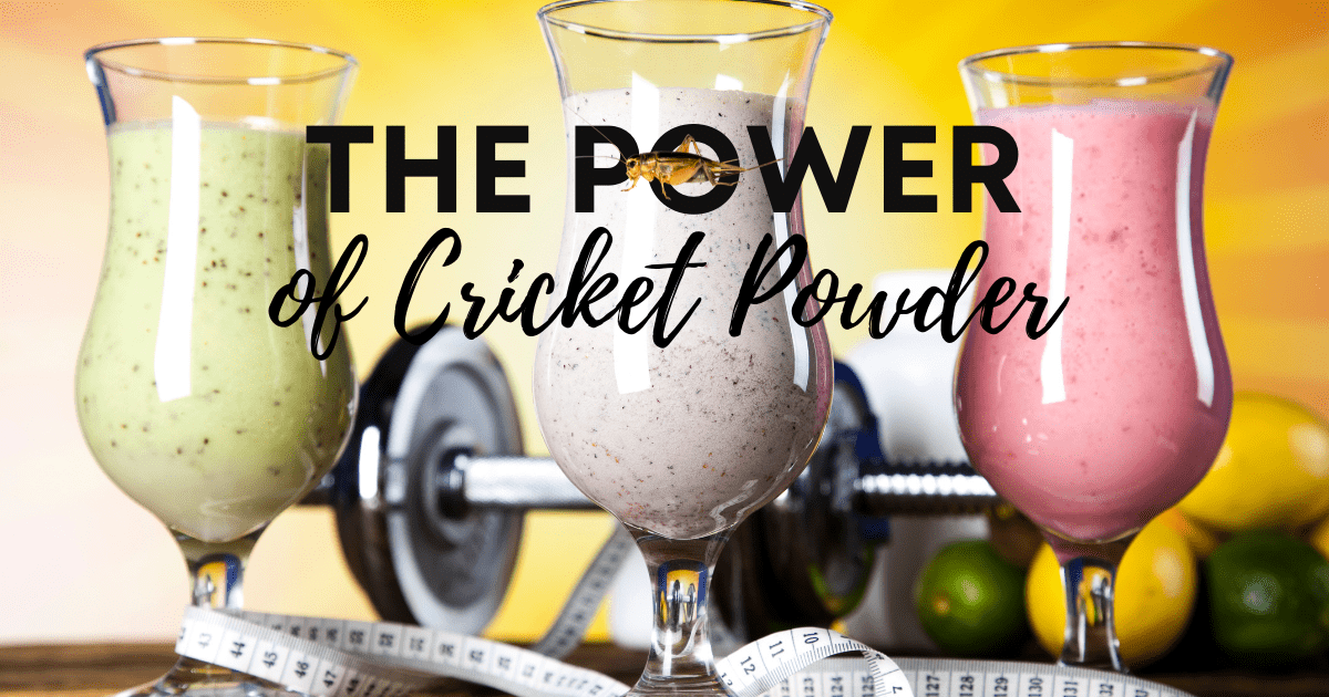 9 Benefits of Cricket Protein Powder, and Why You Should Try It