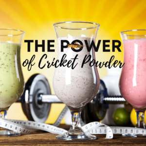 Eating crickets for protein is but one of the benefits of cricket protein powder. Farming insects for human consumption maximizes crop yields and global food security.