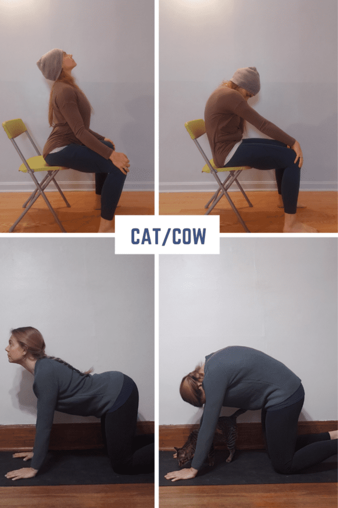 cat cow pose in this yoga flow mobilizes the spine in this for stress relief
