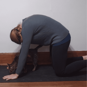 Yoga flow sequence including cat cow helps improve posture, circulation, energy, and for stress relief