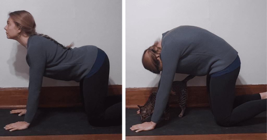 Soothe your nervous system by merging movement with breath in this active yoga flow for stress relief