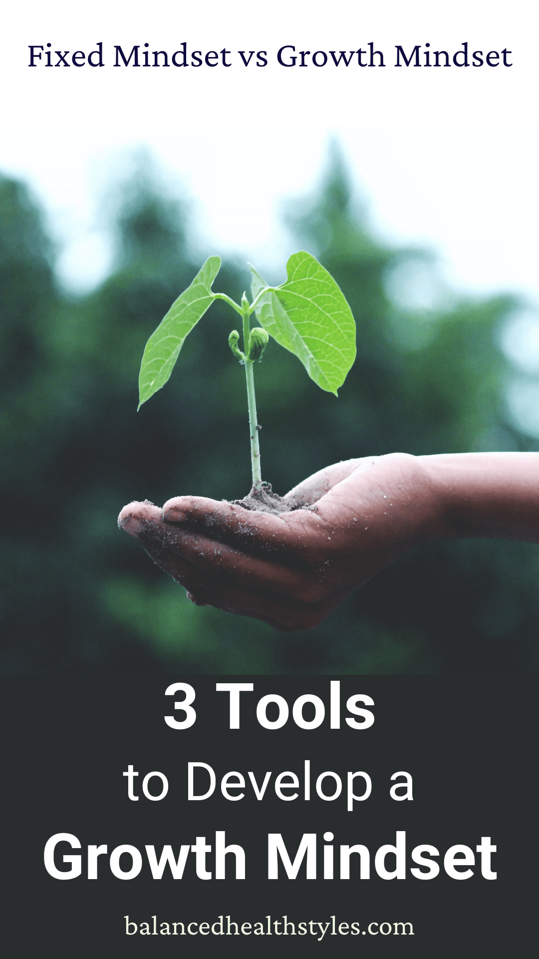 Fixed mindset vs growth mindset: 3 Tools to develop a growth mindset