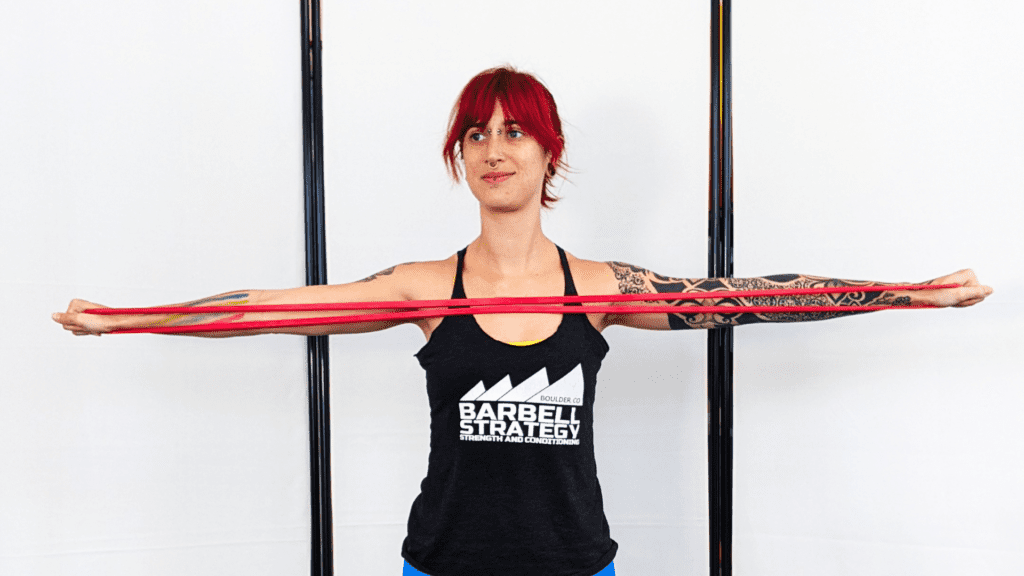 Create a comprehensive workout plan with long resistance bands