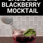Make a toast to summer with this must-try basil blackberry smash mocktail - the ultimate summer drink.