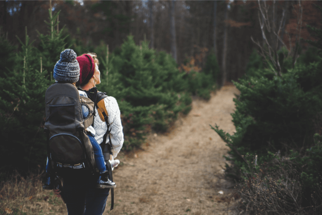 Use the AllTrails app to find the best hiking trails to take kids