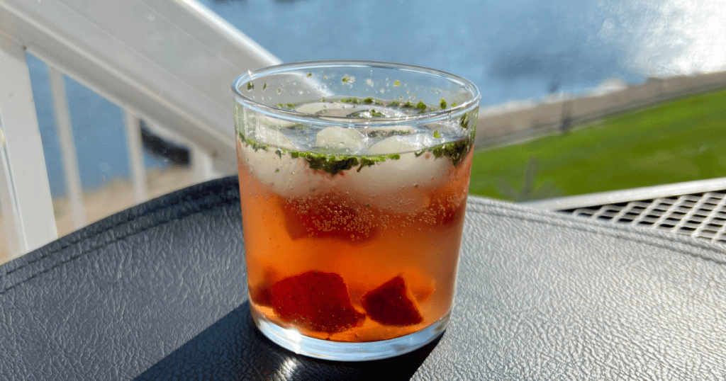 Balsamic Strawberry Shrub Soda on the rocks- A Versatile Mocktail Recipe for All Times