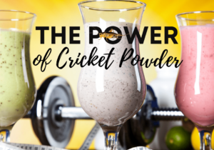 Eating crickets for protein is but one of the benefits of cricket protein powder. Farming insects for human consumption maximizes crop yields and global food security.