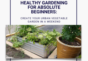 Healthy gardening in an urban setting - Beginner garden tips