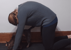 Yoga flow sequence including cat cow helps improve posture, circulation, energy, and for stress relief